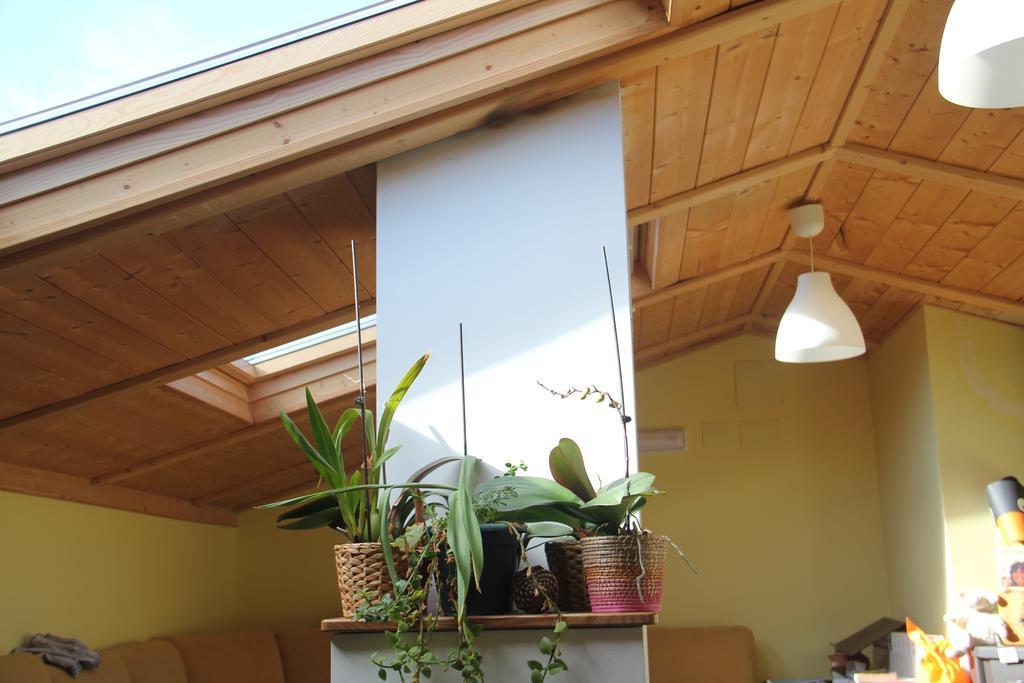 Hostel Curavacas Triollo Exteriör bild